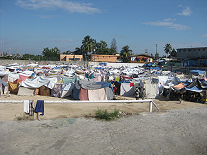 Survivor Camps